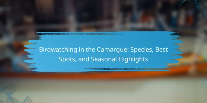 Birdwatching in the Camargue: Species, Best Spots, and Seasonal Highlights