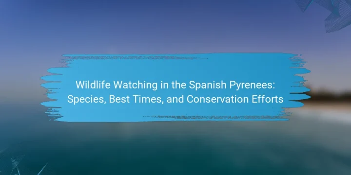 Wildlife Watching in the Spanish Pyrenees: Species, Best Times, and Conservation Efforts