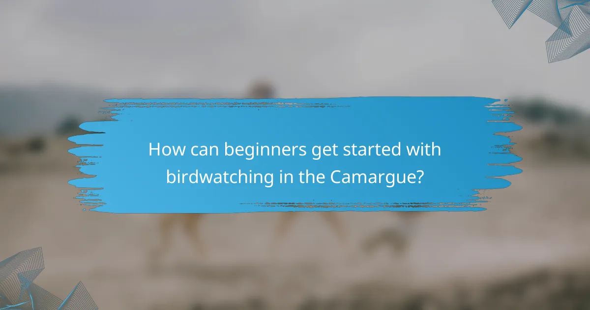 How can beginners get started with birdwatching in the Camargue?