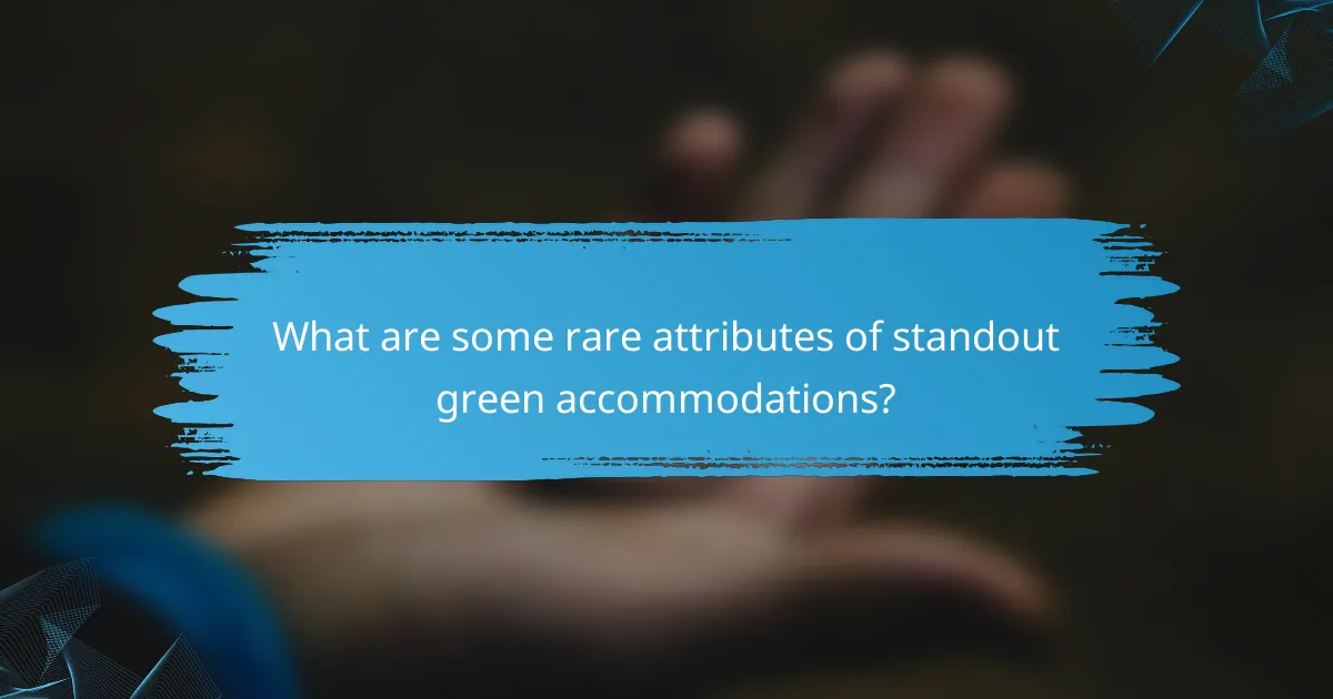 What are some rare attributes of standout green accommodations?