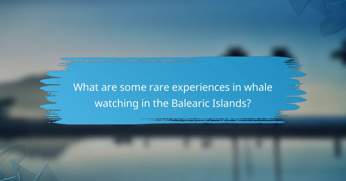 What are some rare experiences in whale watching in the Balearic Islands?