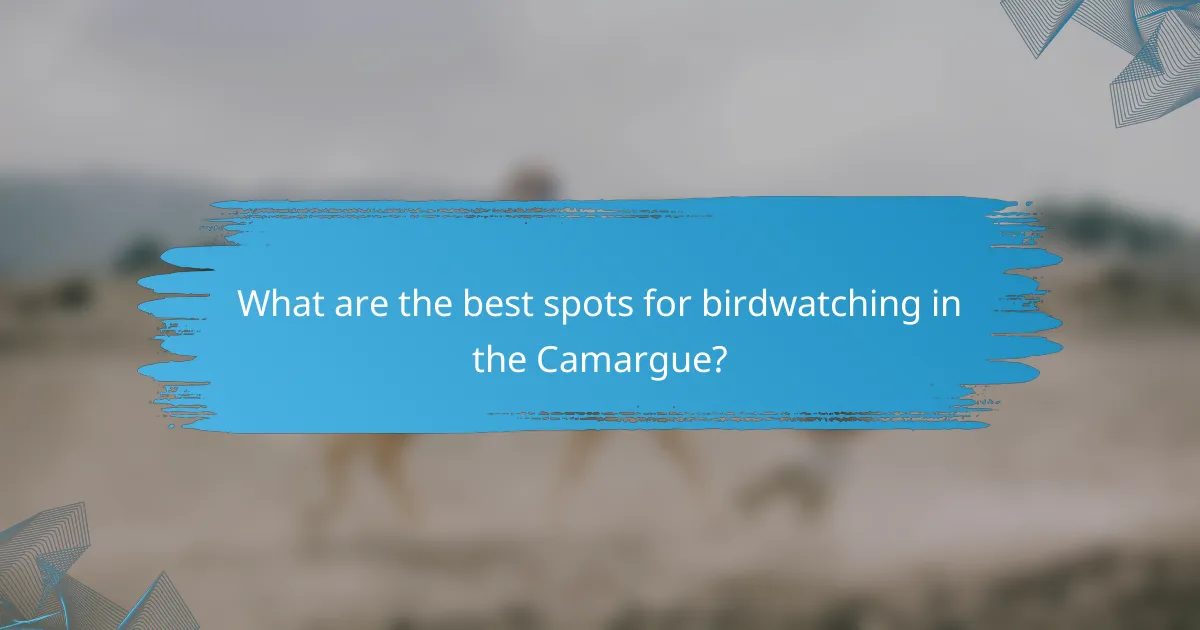 What are the best spots for birdwatching in the Camargue?