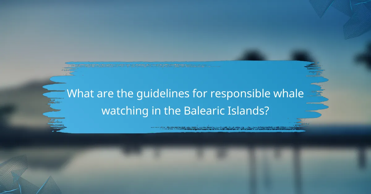 What are the guidelines for responsible whale watching in the Balearic Islands?