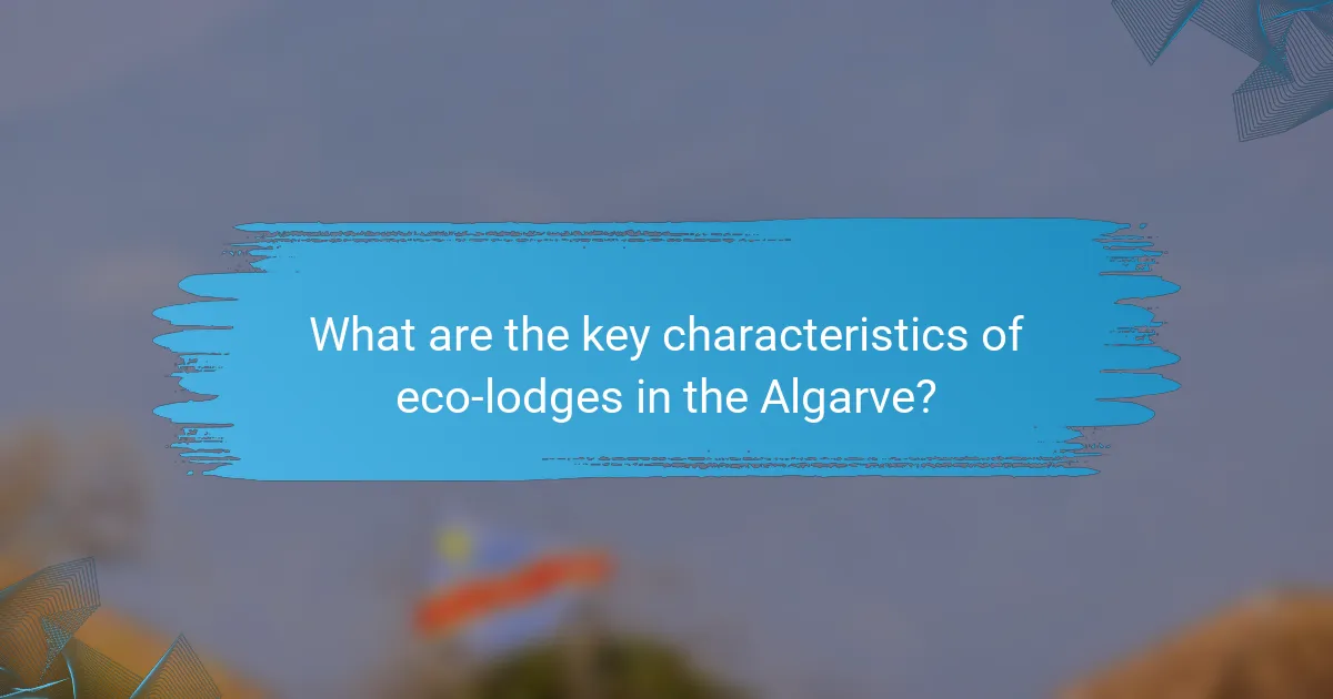What are the key characteristics of eco-lodges in the Algarve?