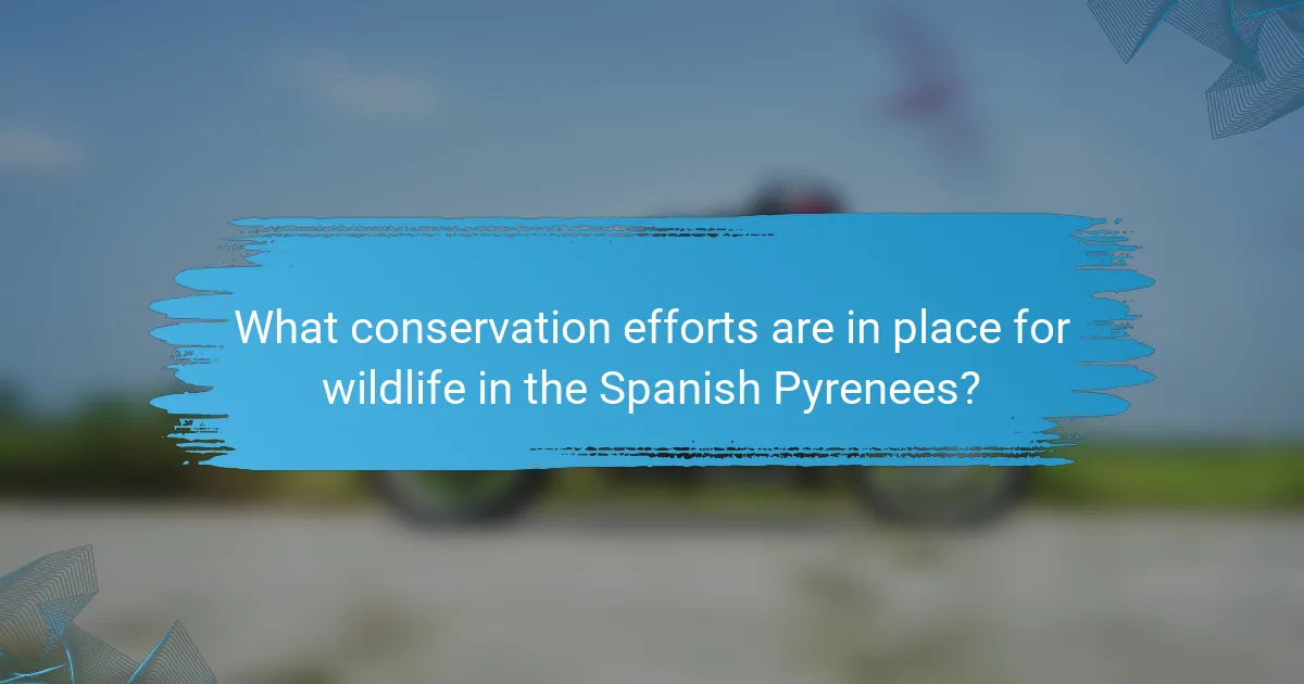 What conservation efforts are in place for wildlife in the Spanish Pyrenees?