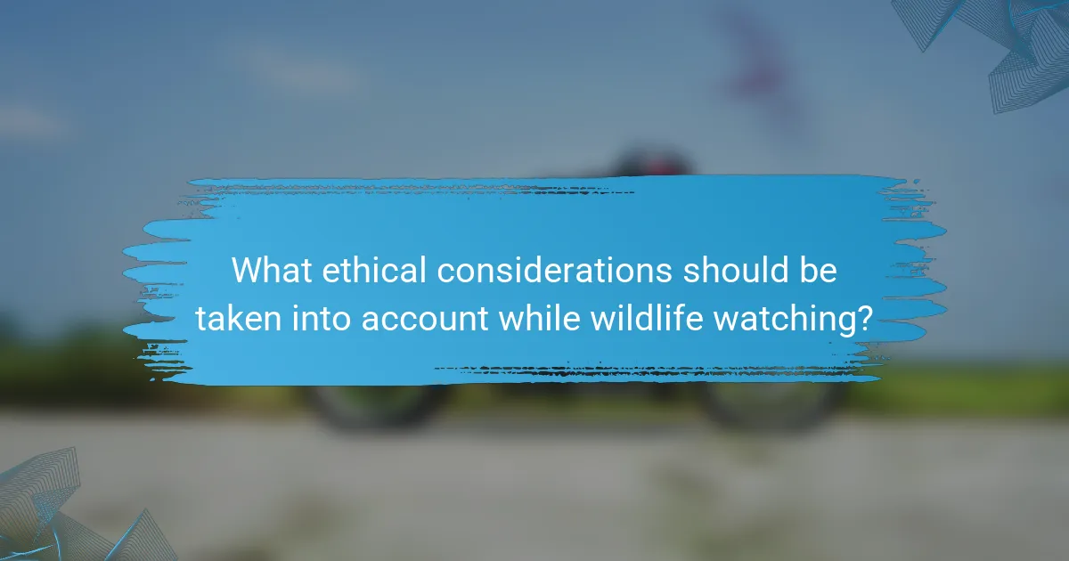 What ethical considerations should be taken into account while wildlife watching?