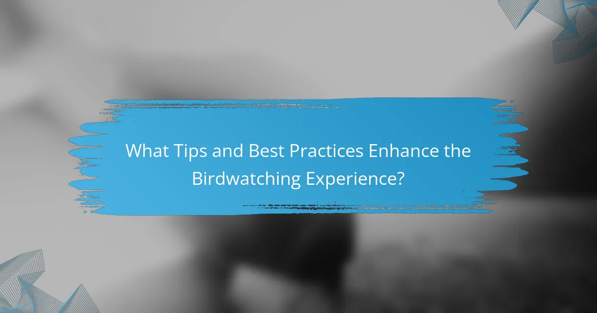 What Tips and Best Practices Enhance the Birdwatching Experience?