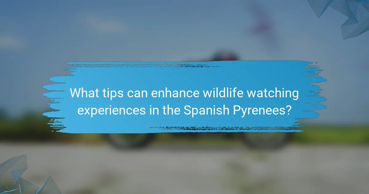What tips can enhance wildlife watching experiences in the Spanish Pyrenees?