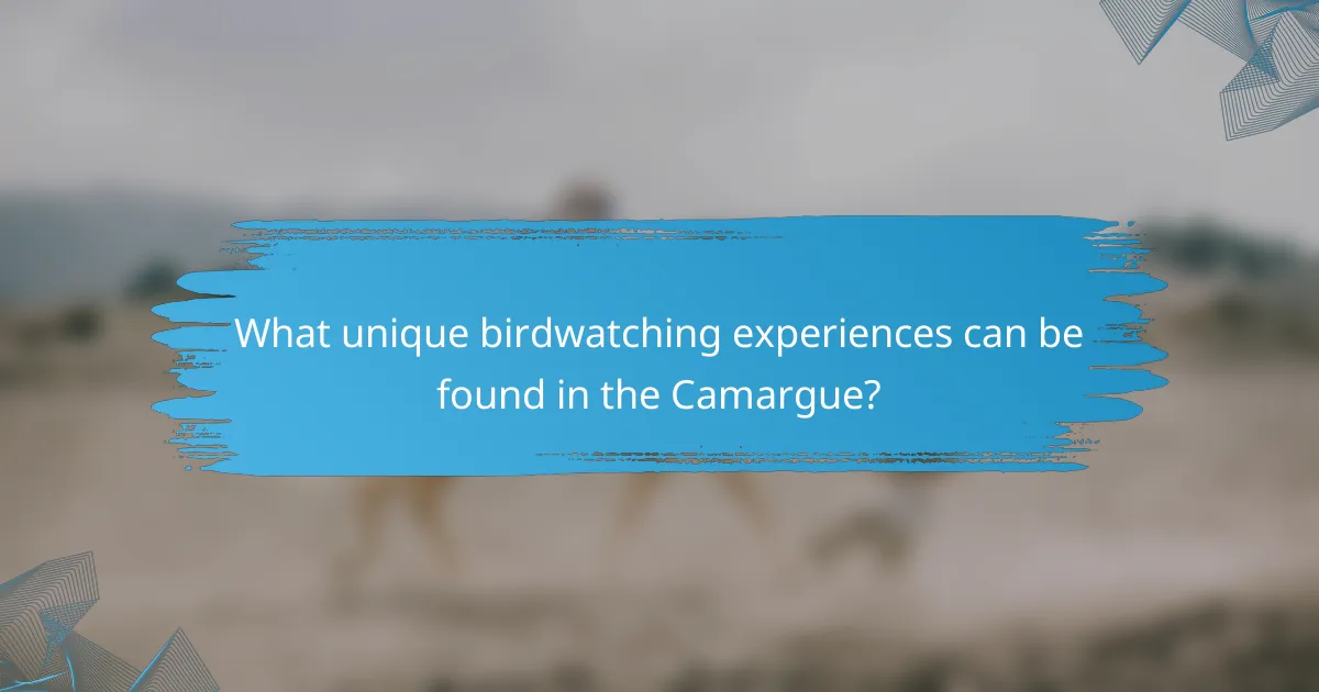 What unique birdwatching experiences can be found in the Camargue?