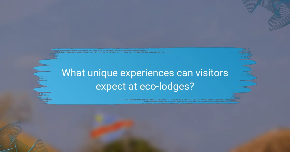 What unique experiences can visitors expect at eco-lodges?