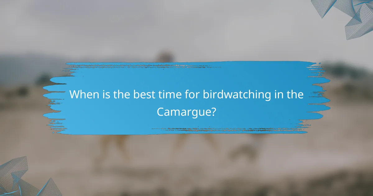 When is the best time for birdwatching in the Camargue?