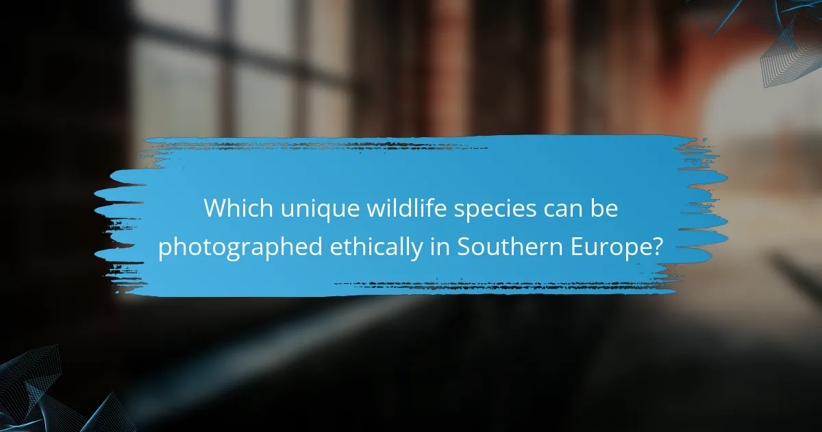 Which unique wildlife species can be photographed ethically in Southern Europe?